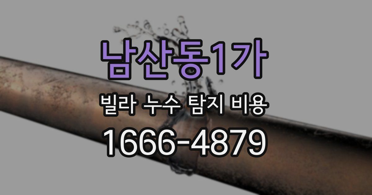 남산동1가 빌라 누수 탐지 비용