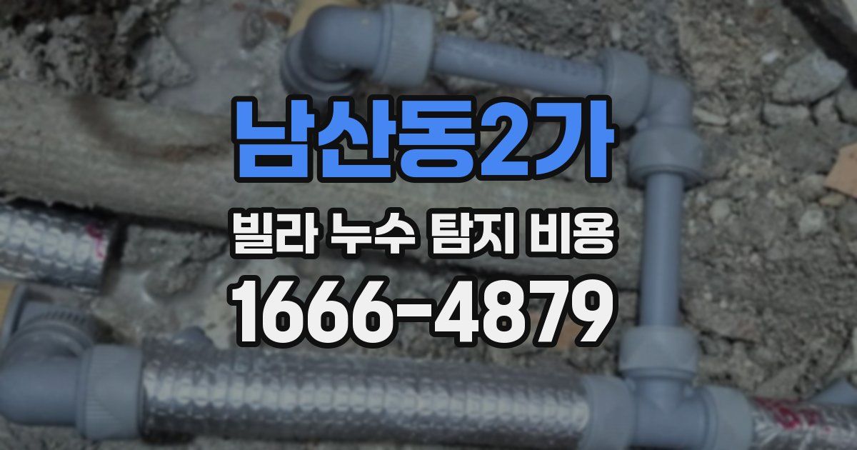 남산동2가 빌라 누수 탐지 비용