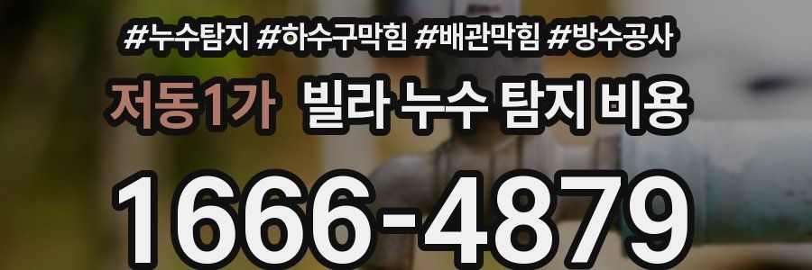 저동1가 빌라 누수 탐지 비용