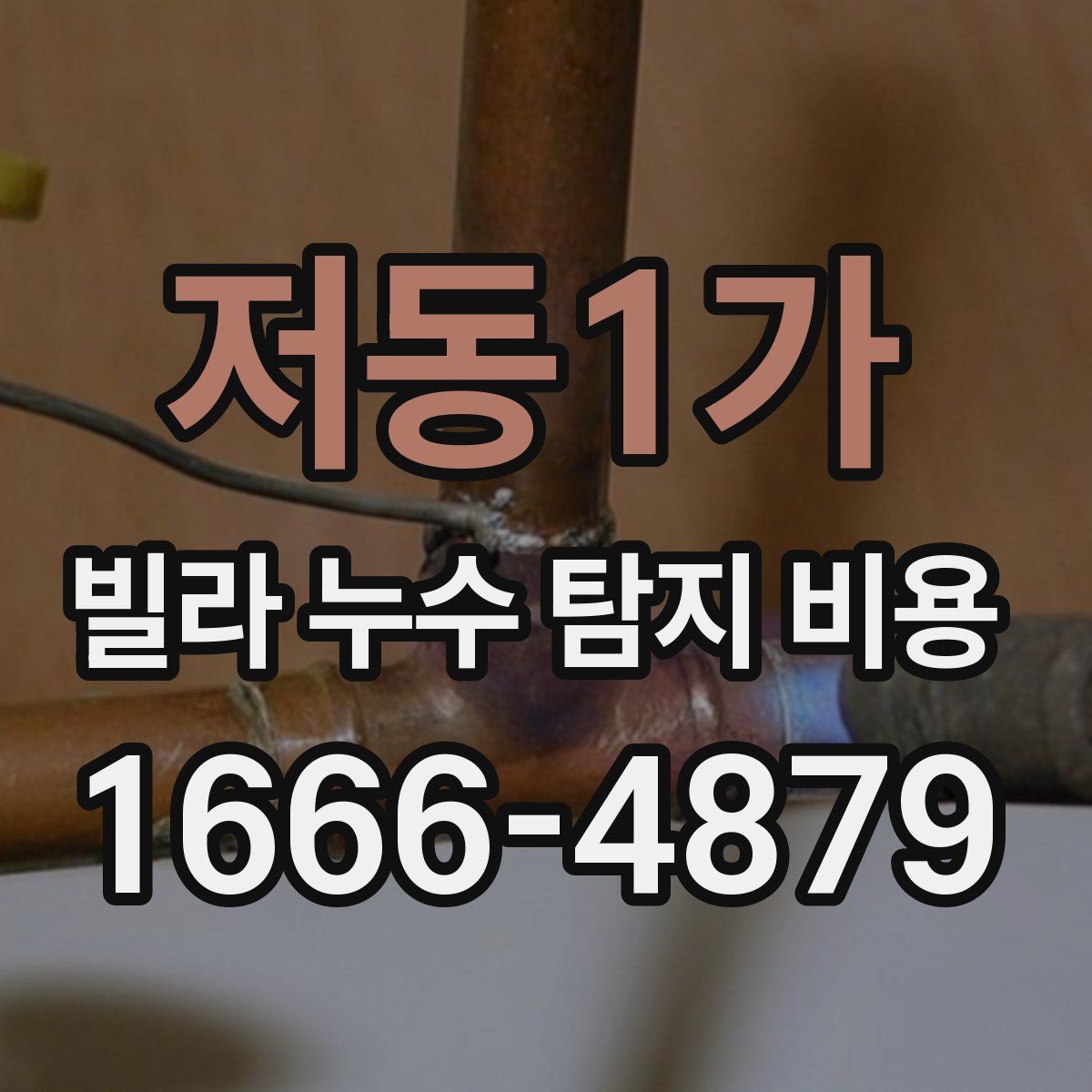 저동1가 빌라 누수 탐지 비용
