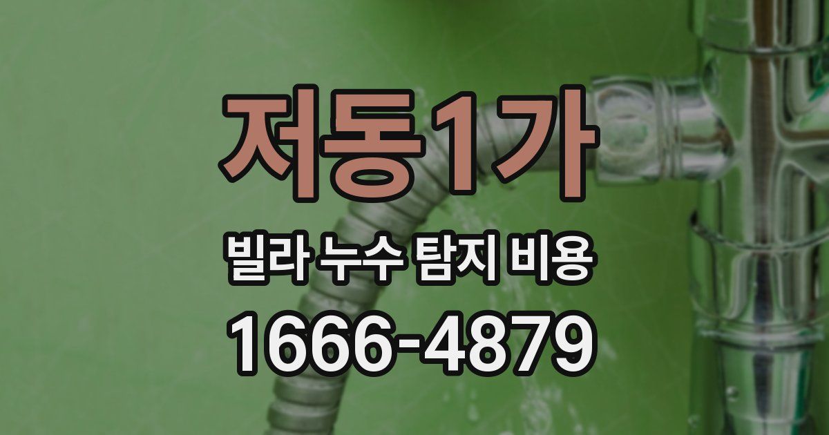 저동1가 빌라 누수 탐지 비용
