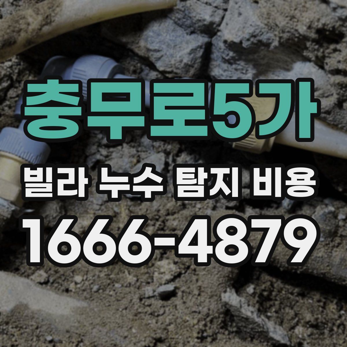 충무로5가 빌라 누수 탐지 비용