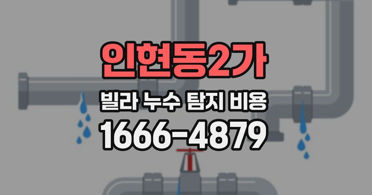 인현동2가 빌라 누수 탐지 비용
