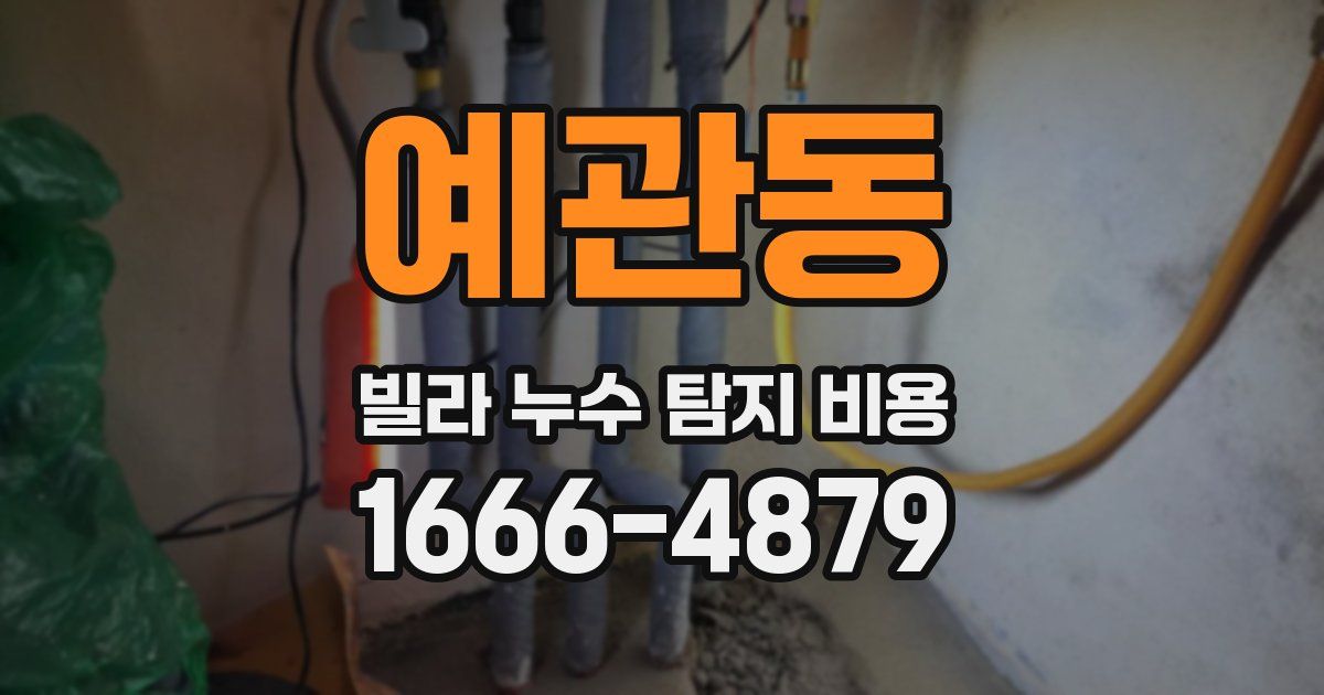 예관동 빌라 누수 탐지 비용
