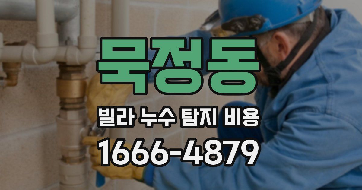묵정동 빌라 누수 탐지 비용