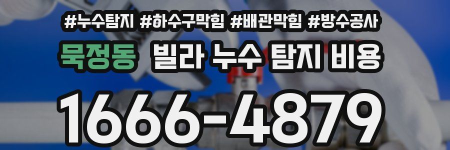 묵정동 빌라 누수 탐지 비용