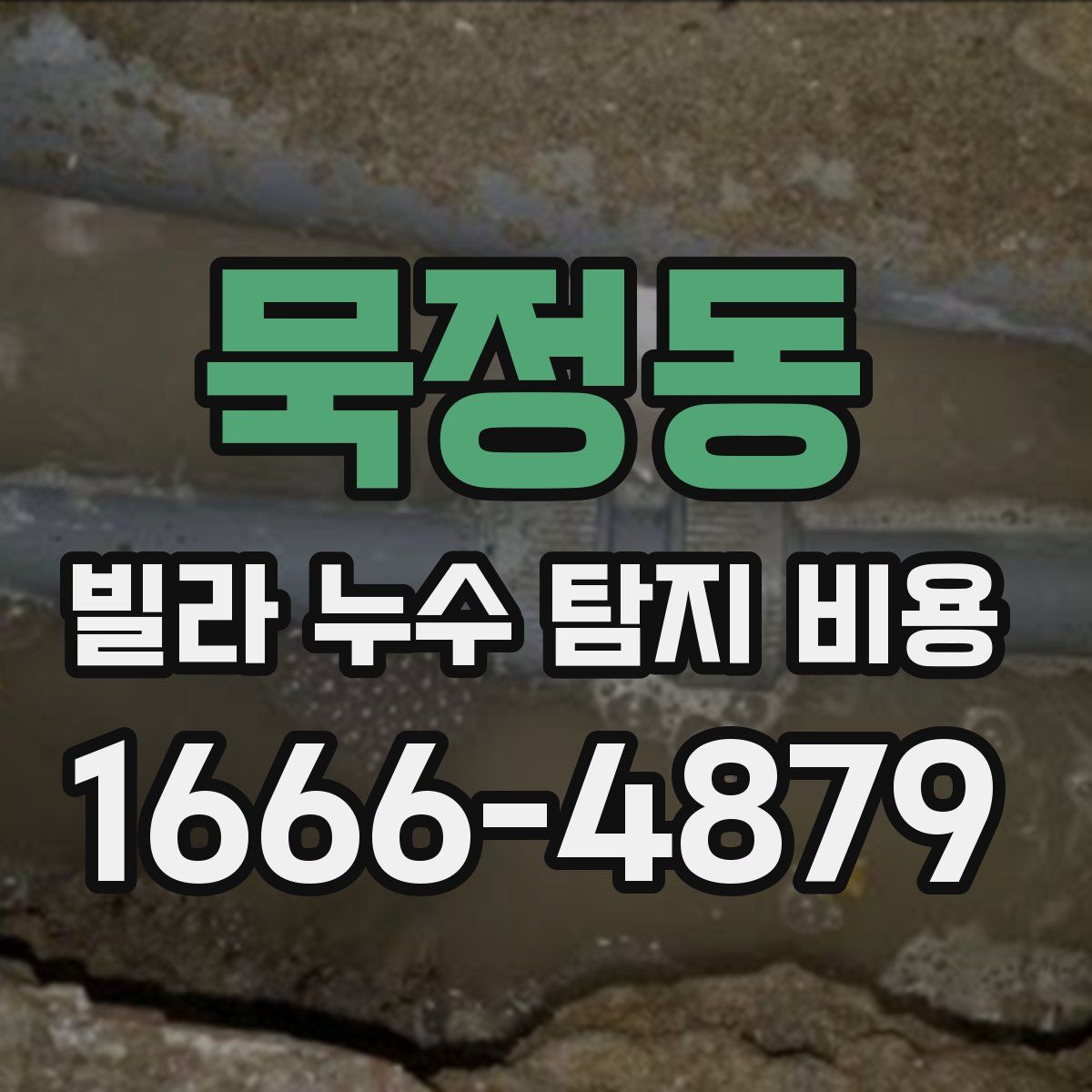 묵정동 빌라 누수 탐지 비용
