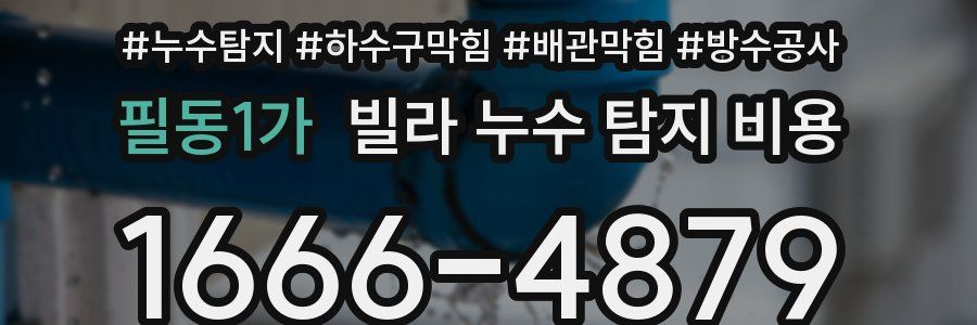 필동1가 빌라 누수 탐지 비용