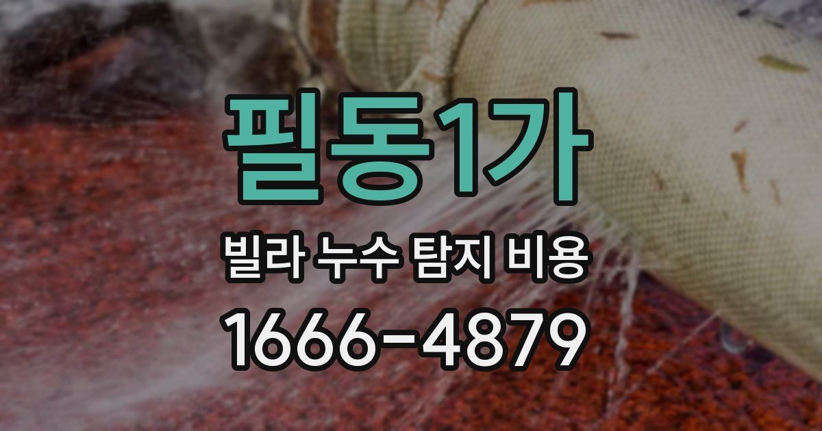 필동1가 빌라 누수 탐지 비용