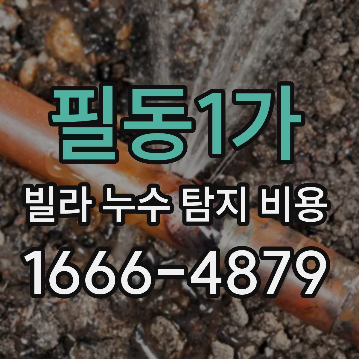 필동1가 빌라 누수 탐지 비용