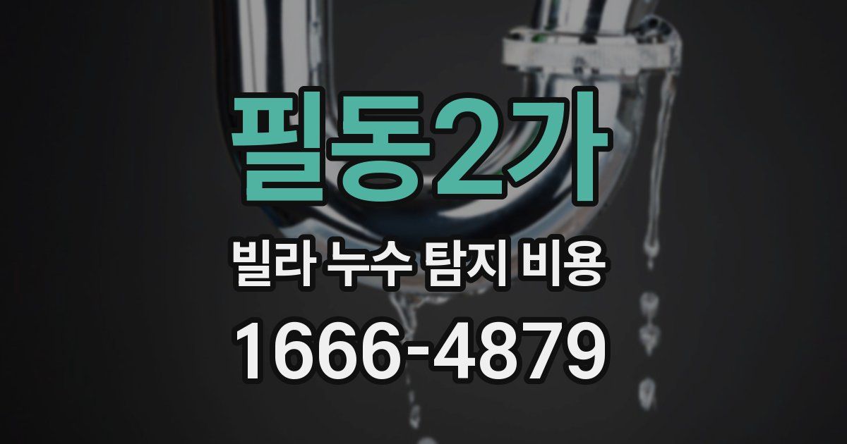필동2가 빌라 누수 탐지 비용