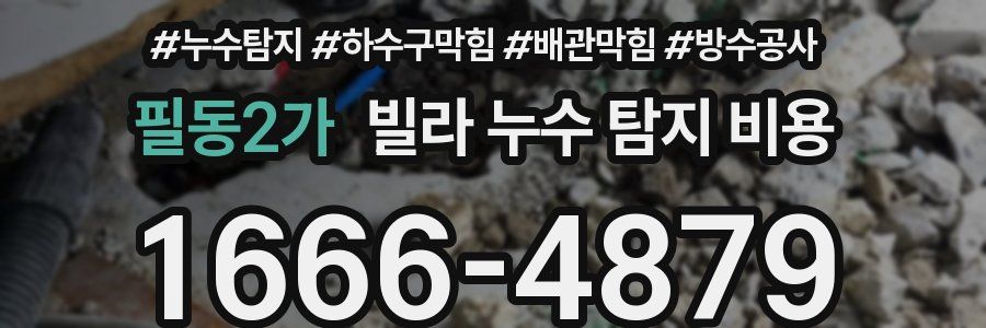 필동2가 빌라 누수 탐지 비용