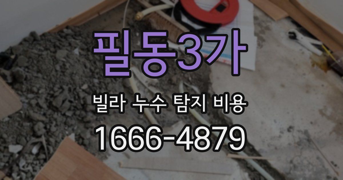 필동3가 빌라 누수 탐지 비용
