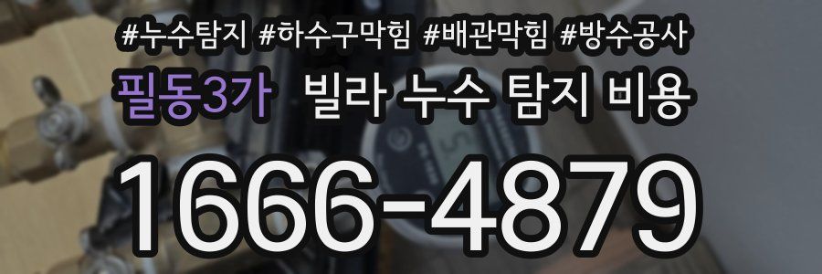 필동3가 빌라 누수 탐지 비용