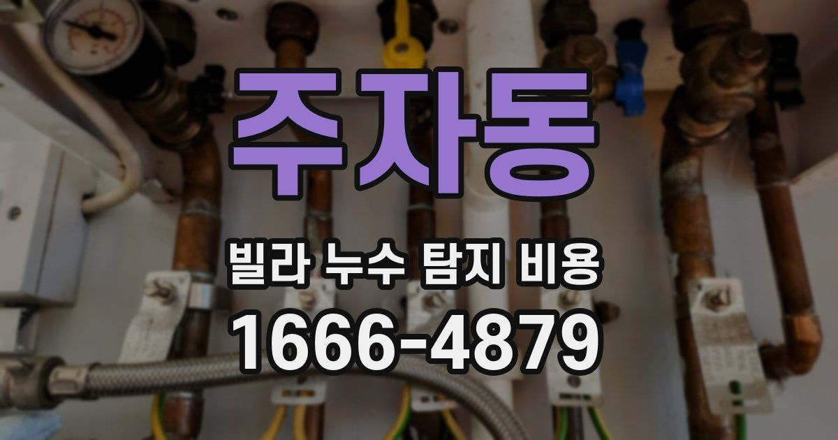 주자동 빌라 누수 탐지 비용