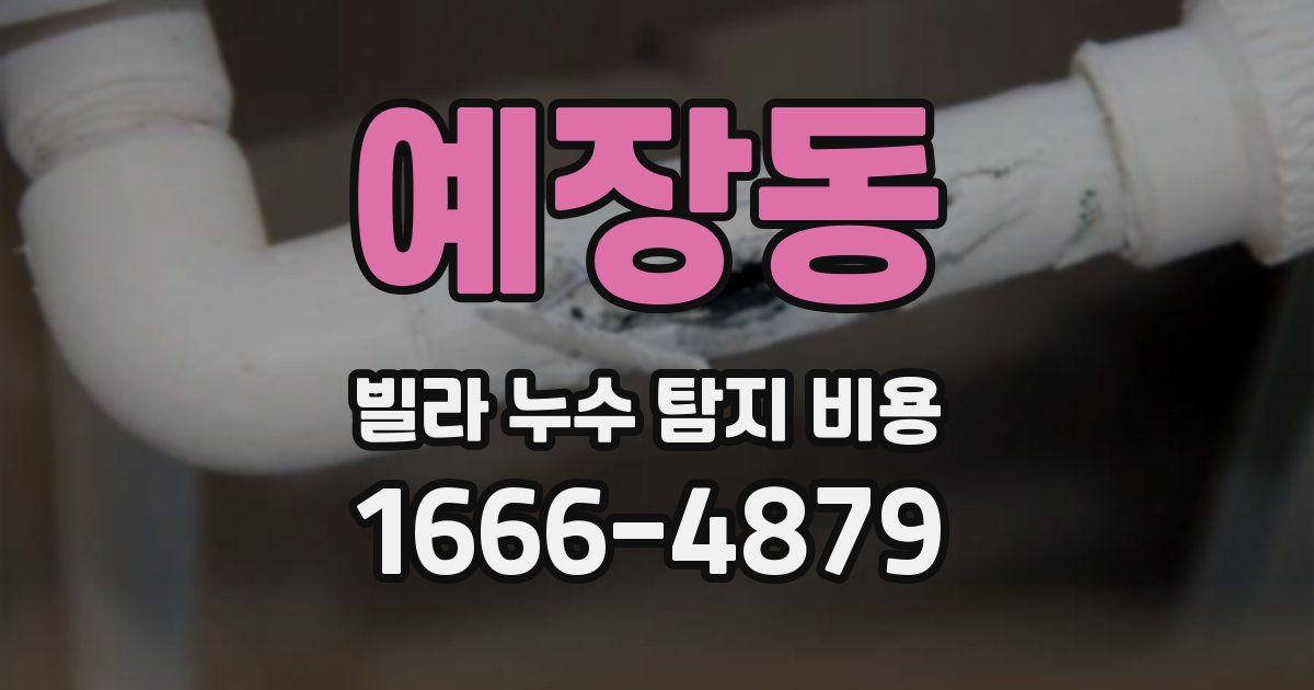 예장동 빌라 누수 탐지 비용