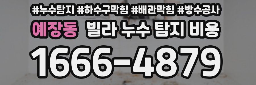 예장동 빌라 누수 탐지 비용