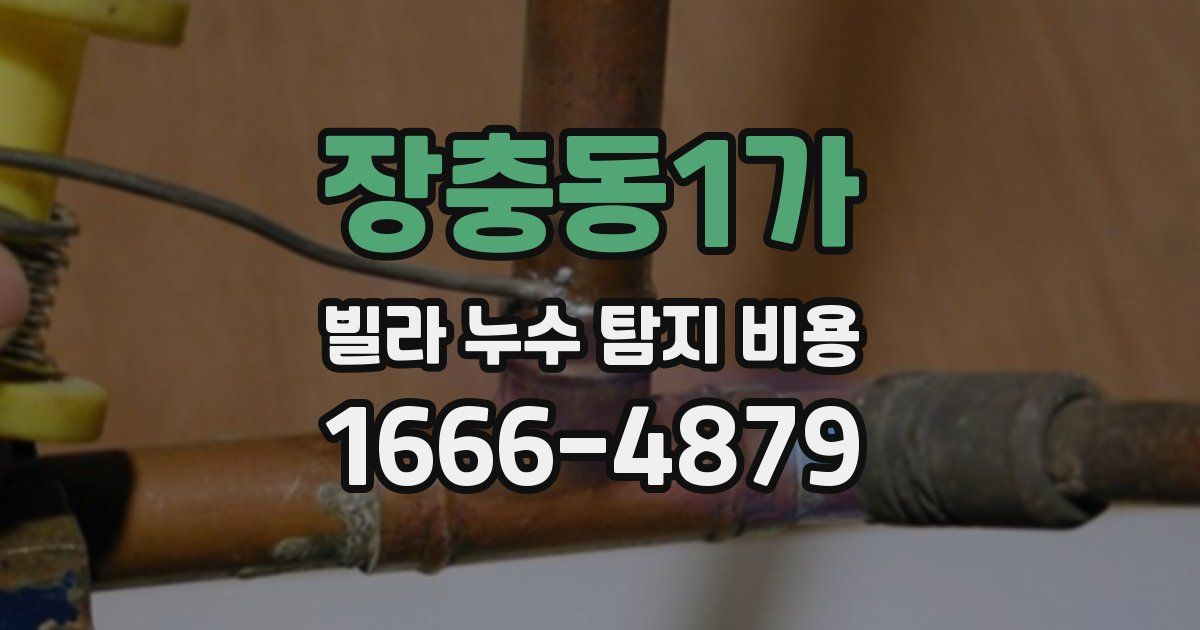 장충동1가 빌라 누수 탐지 비용