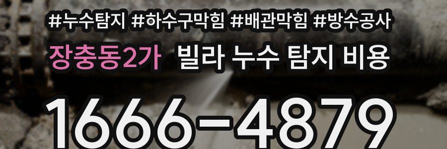 장충동2가 빌라 누수 탐지 비용