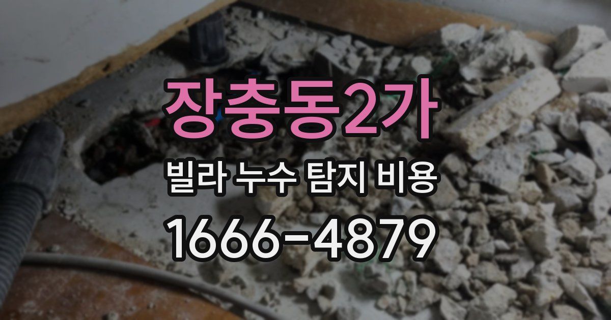 장충동2가 빌라 누수 탐지 비용