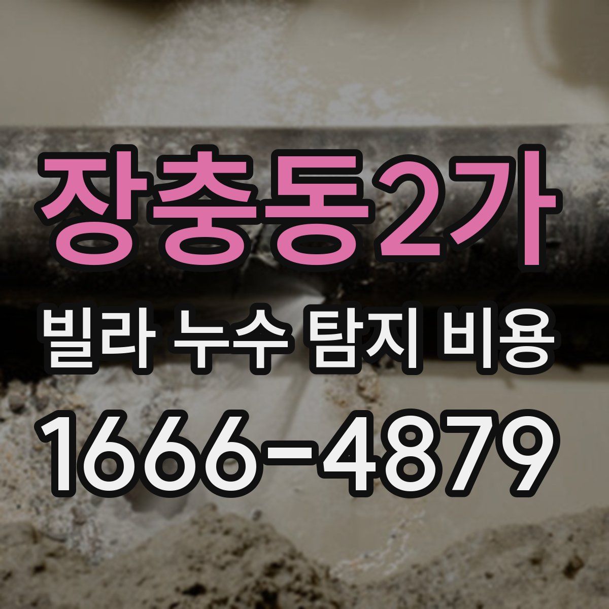 장충동2가 빌라 누수 탐지 비용