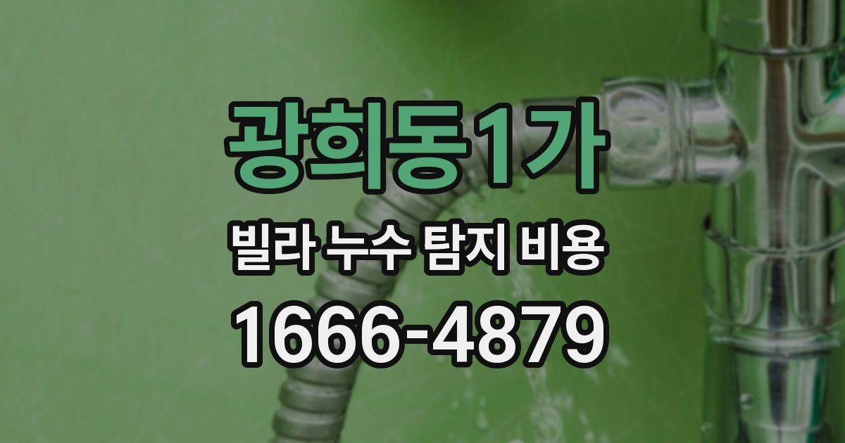 광희동1가 빌라 누수 탐지 비용