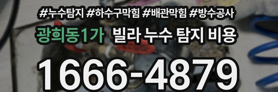광희동1가 빌라 누수 탐지 비용