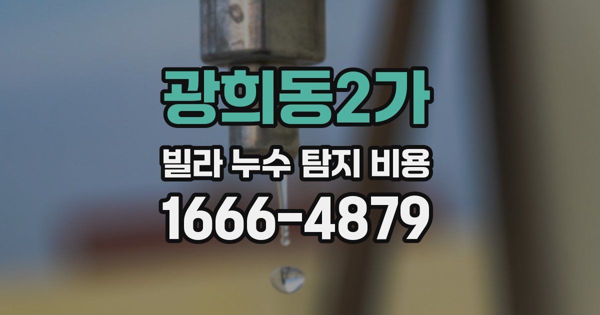 광희동2가 빌라 누수 탐지 비용