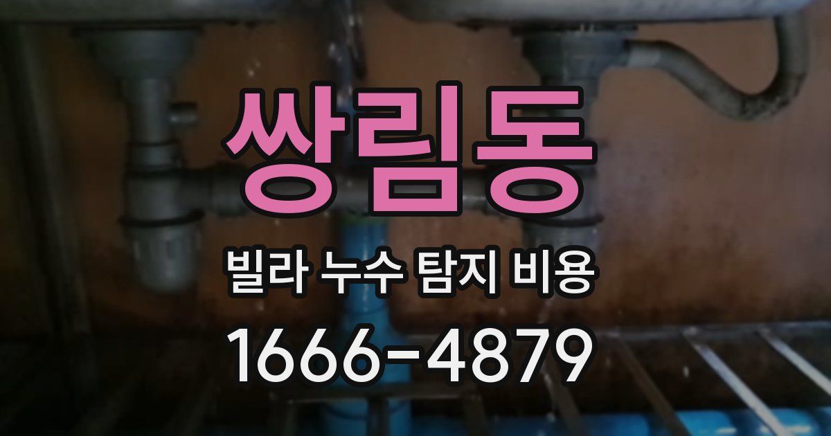 쌍림동 빌라 누수 탐지 비용