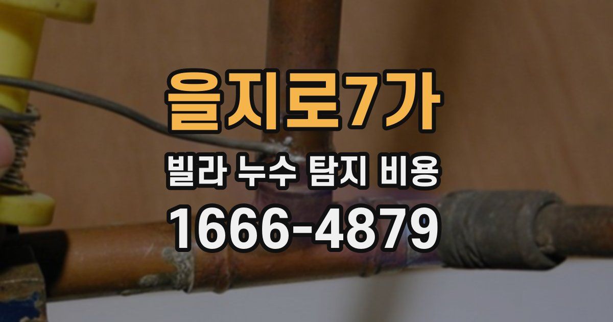 을지로7가 빌라 누수 탐지 비용