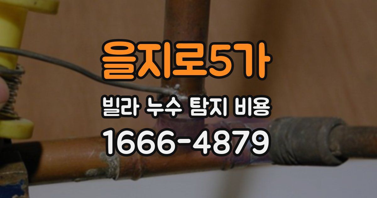 을지로5가 빌라 누수 탐지 비용
