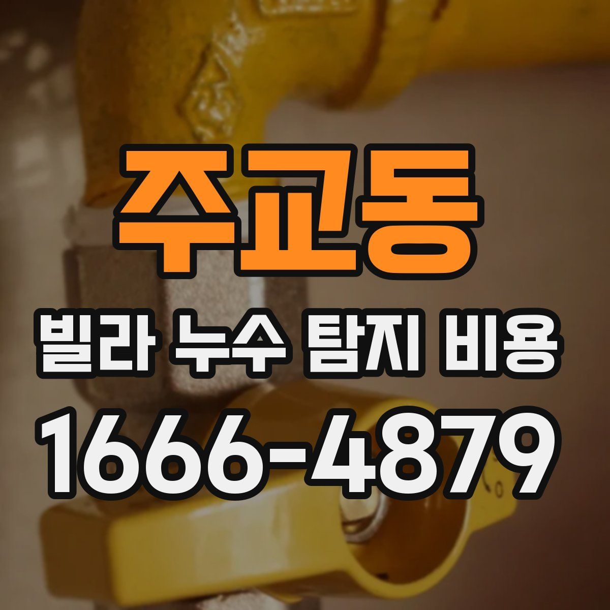 주교동 빌라 누수 탐지 비용