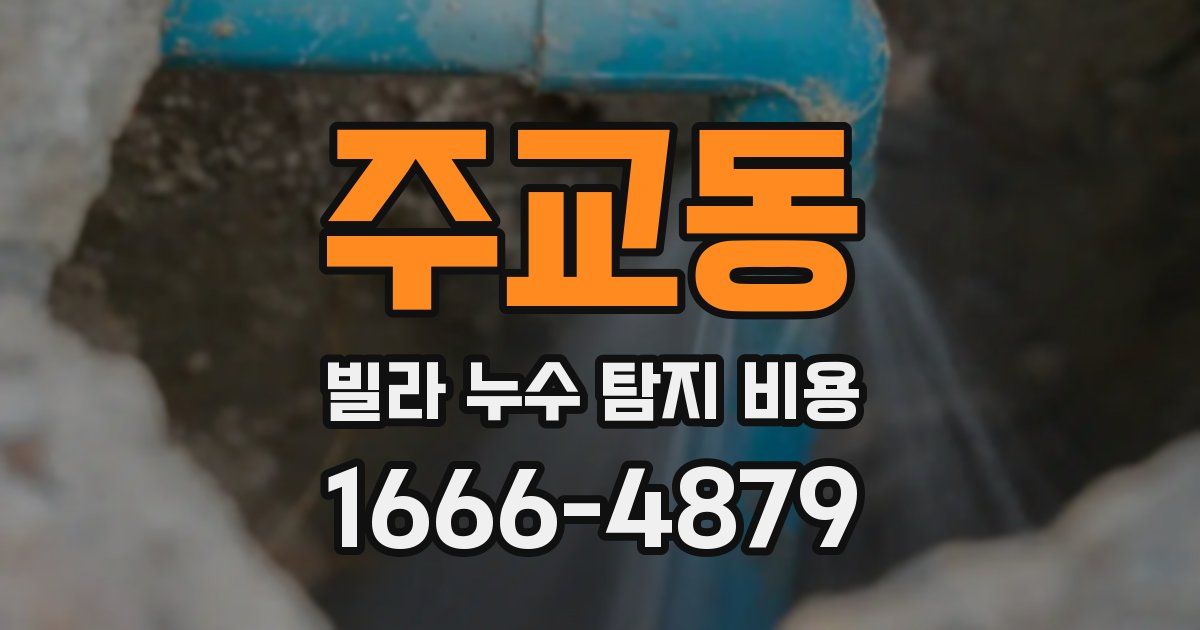 주교동 빌라 누수 탐지 비용