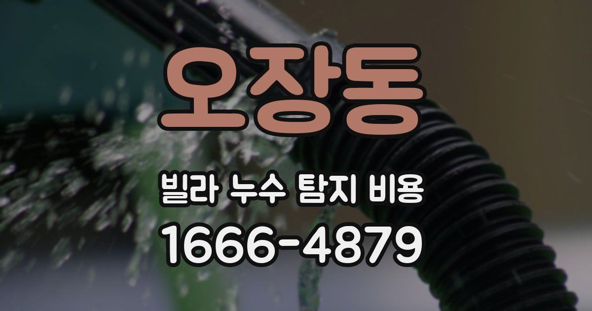 오장동 빌라 누수 탐지 비용