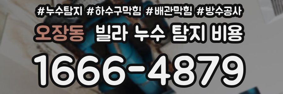 오장동 빌라 누수 탐지 비용