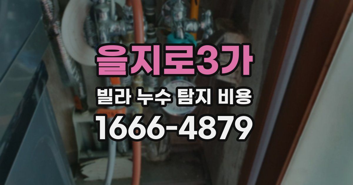 을지로3가 빌라 누수 탐지 비용