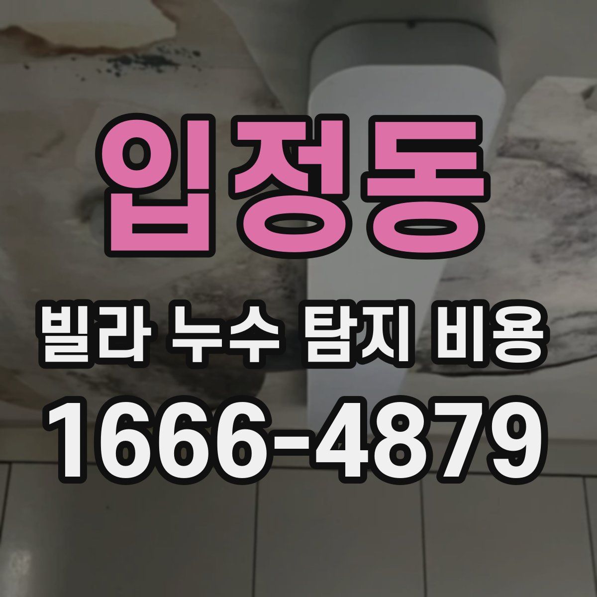 입정동 빌라 누수 탐지 비용