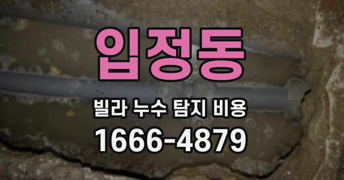 입정동 빌라 누수 탐지 비용