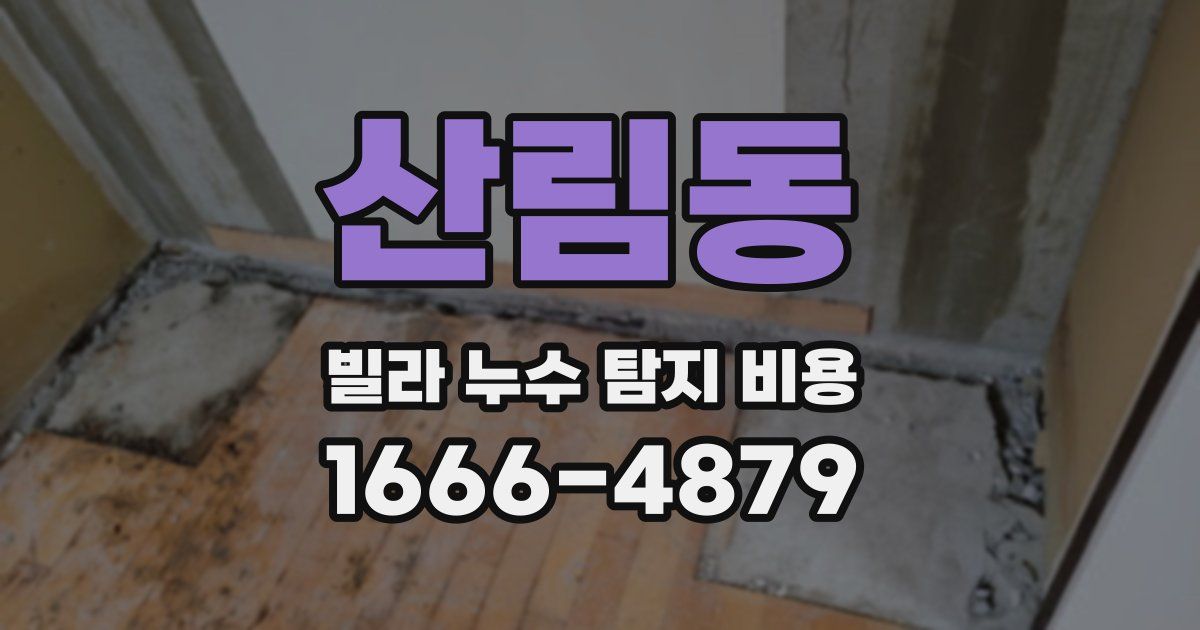 산림동 빌라 누수 탐지 비용