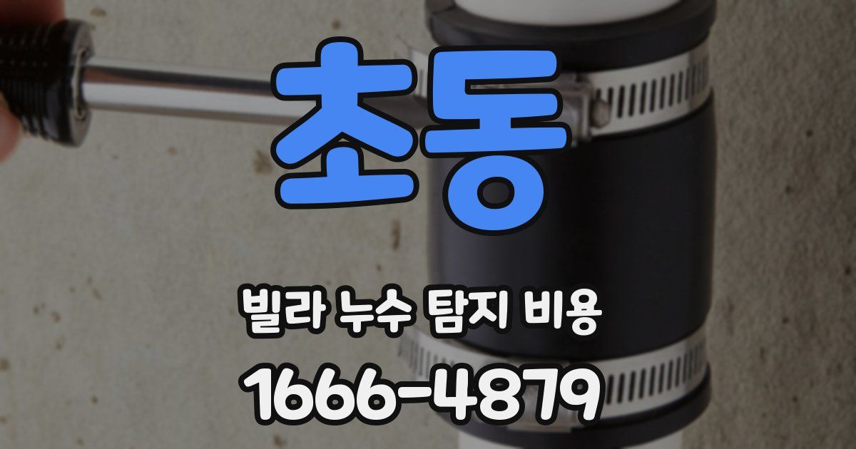 초동 빌라 누수 탐지 비용