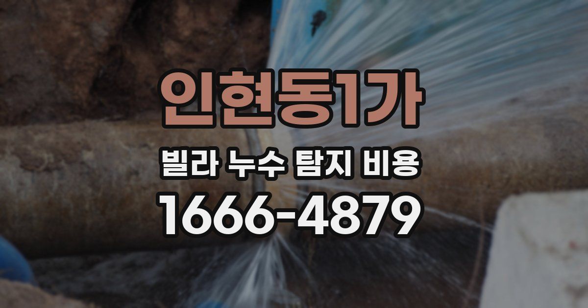 인현동1가 빌라 누수 탐지 비용