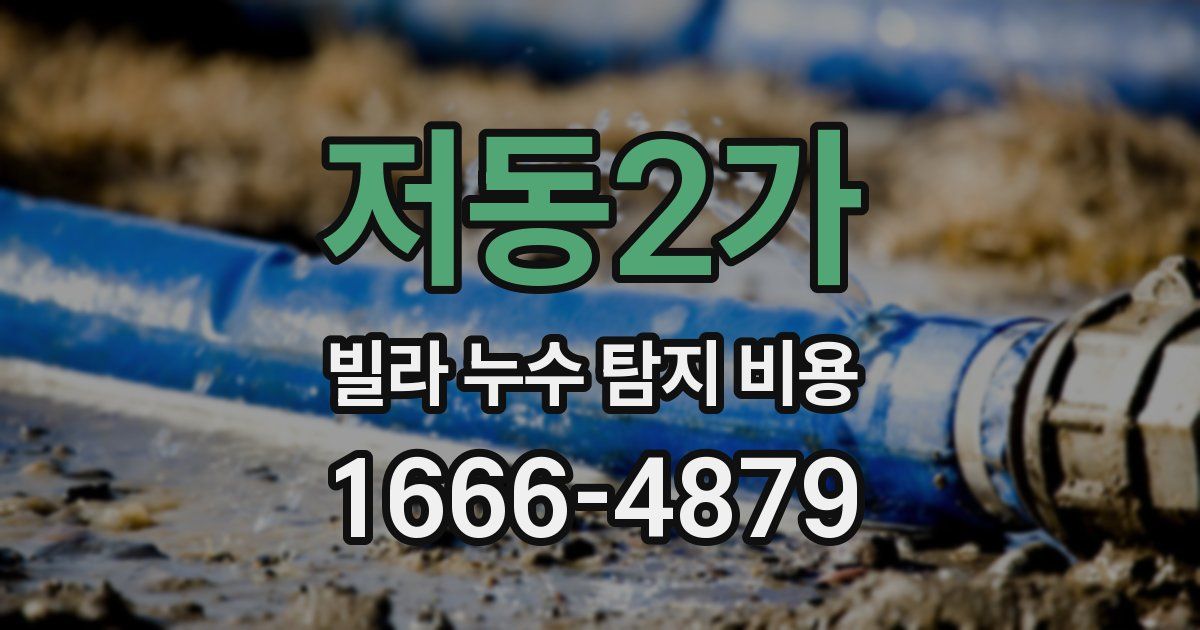 저동2가 빌라 누수 탐지 비용