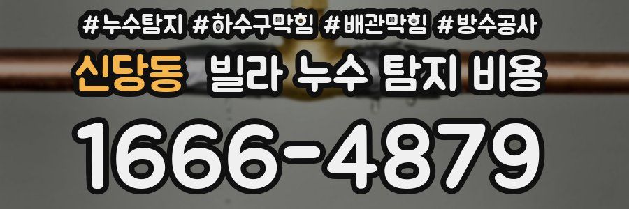 신당동 빌라 누수 탐지 비용