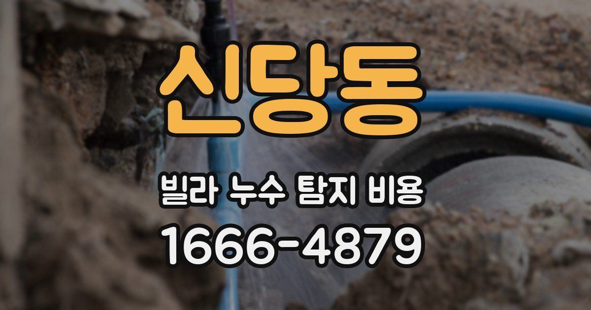 신당동 빌라 누수 탐지 비용