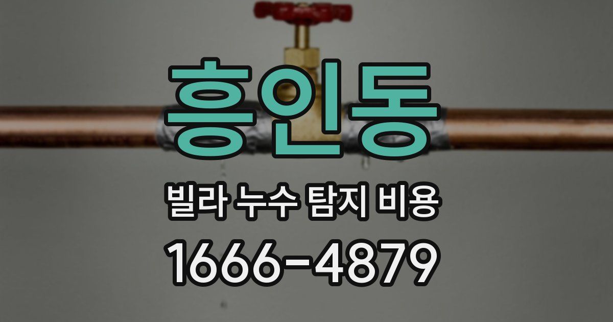 흥인동 빌라 누수 탐지 비용
