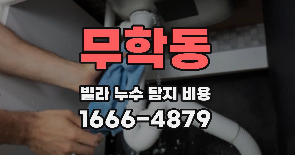 무학동 빌라 누수 탐지 비용