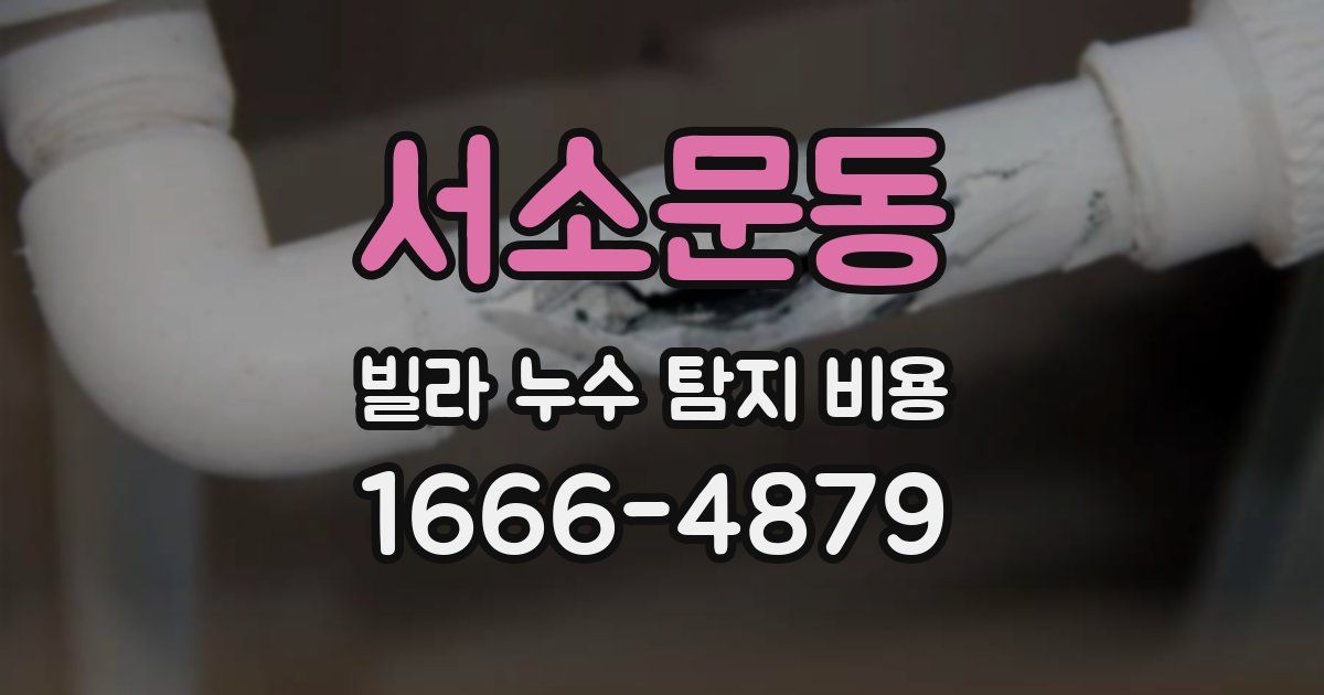 서소문동 빌라 누수 탐지 비용