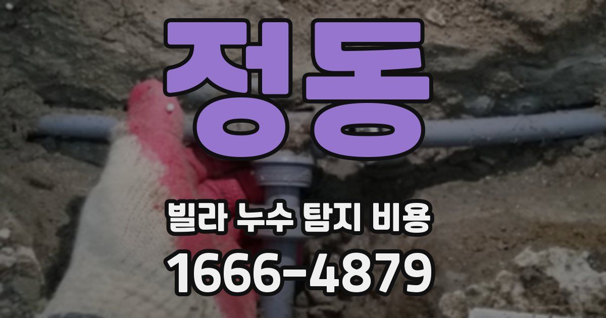 정동 빌라 누수 탐지 비용