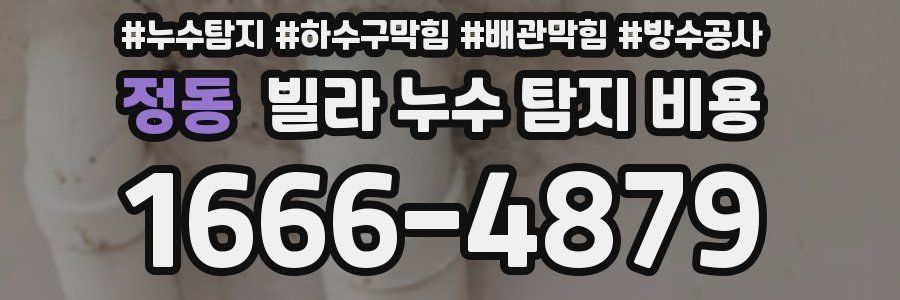 정동 빌라 누수 탐지 비용