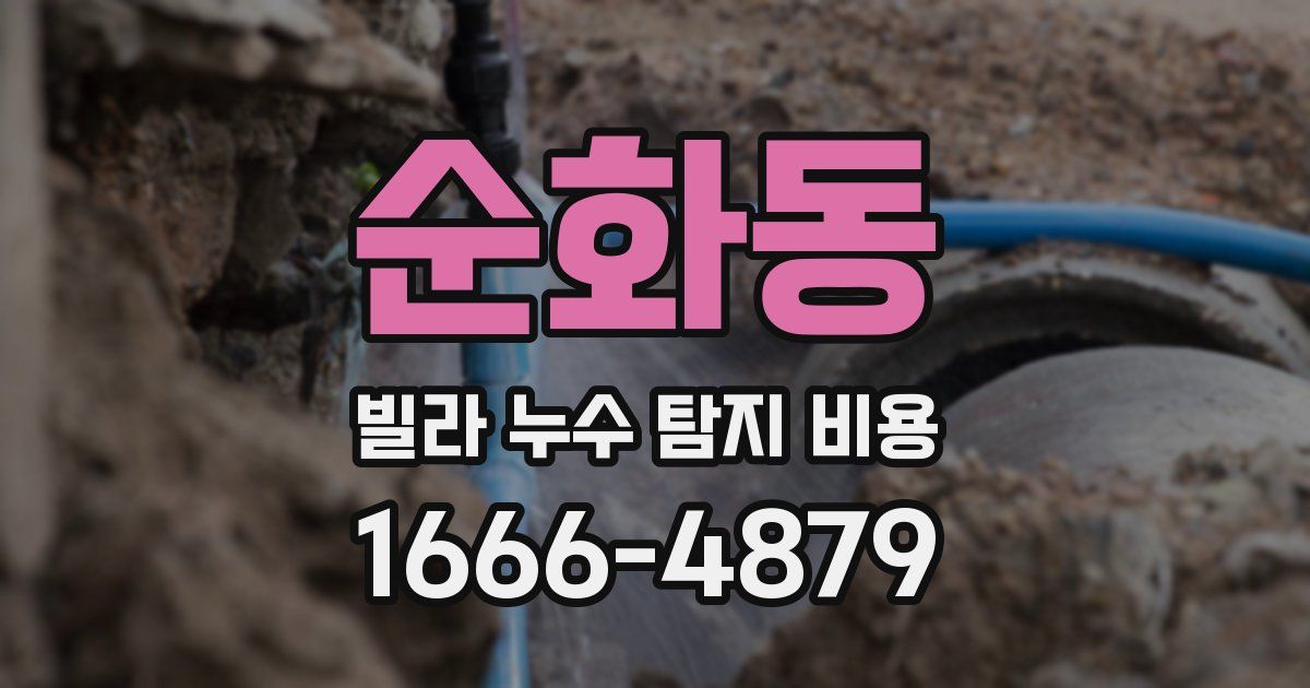 순화동 빌라 누수 탐지 비용